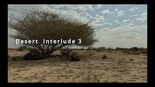 Desert Interludes   Earthna Submot 2025   Doha Qatar