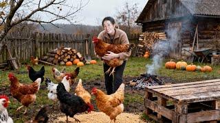 Buying Lots of Chickens & Food by Truck for a Countryside Wedding | Đào Free Bushcraft