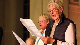 Vänligt över jorden glänser