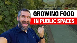 Growing Food in PUBLIC Spaces - Two Examples of Public Space Gardening