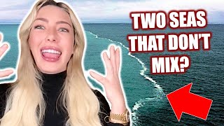 Did Scientists Just Confirm This Quran Verse? (Dawah with Lily Jay!)