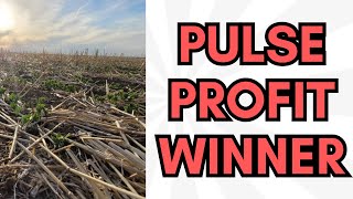 Picking a pulse profit winner