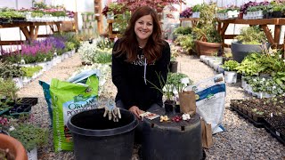 3 Ways to Plant Onions! Beginners Guide! 🌿// Garden Answer