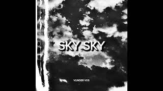 Vlinder Vos - SKY SKY