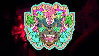 POSITRONIC + OUTRO F HOLE -Meowcoholics @ Gabes Blackout Thanksgiving 11/23/16