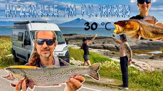 30°C at the Arctic Circle: Camper road trip from West to Northern Norway - sea trout and moose! 🇳🇴🎣