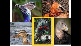 Kim Adelson: "The Dinosaurs Amongst Us" (WOS Monthly Meeting, Feb 1, 2021)