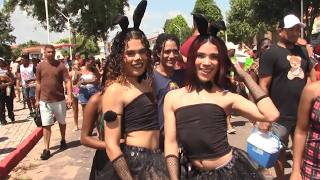 TV Remanso - FOLIA EM PINDARÉ-MIRIM