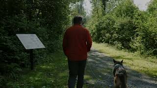 Discover Valdez Parks & Trails