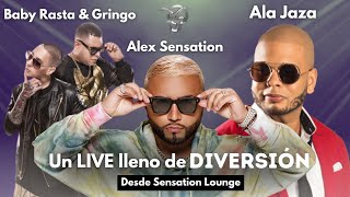 Live Baby Rasta Gringo y Ala Jaza