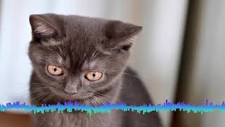 Free music full Effect HD: Earth Bound