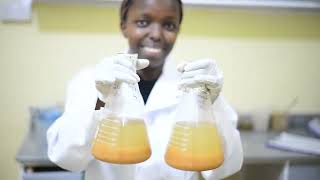 NovFeed | Ocean Impact Pitchfest Finalist