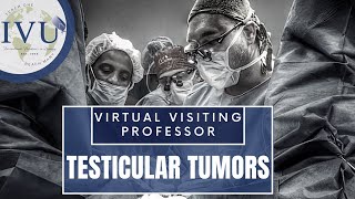 IVUmed VVP: Testicular Tumors