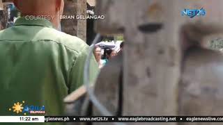 Ika-70 Founding anniversary ng Pikit, Cotabato, ipinagdiwang