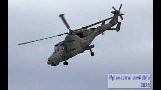 The Royal Navy Wildcat at RAF Cosford Air Show 2024