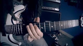 Rise To Fall - Decoding Reality (Guitar Playthrough) By @HugoRTF