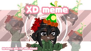 XD meme // birthday gift for IRL friend // FrozenSunset