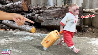 OMG!!! What really happened between Lily and her dad? | Lily's story