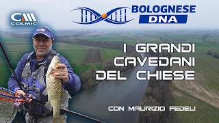 BOLOGNESE DNA | I GRANDI CAVEDANI DEL CHIESE | EP.2 – COLMIC
