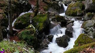 (No Copyright) Relaxing Music-Relaxing Waterfall Music-Relaxing Meditation Music-Sleep Music