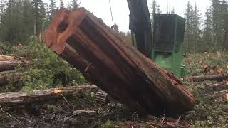 Brad taking care of the nice wood