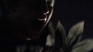 Mr Twin Sister - "End Jam"