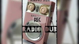 RADIO DUB..(punk at the control mix) By Tony Beet