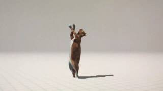 VR dancing cat