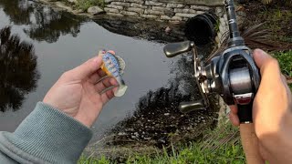 Fishing Small PONDS Loaded W/ Early Spring Bass!