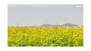 ㆍ𝐏𝐥𝐚𝐲𝐥𝐢𝐬𝐭ㆍ봄이 오는 소리, 두근두근