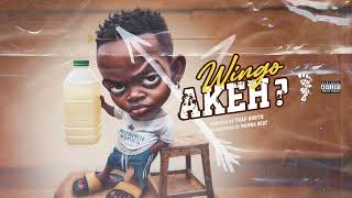 Wingo  - Akeh ? (Official Visualizer)