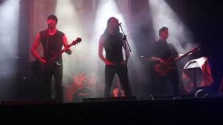 Братья Винкенштерн - Между прочим (Live - PiTone Sound)