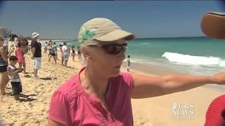 Tiger sharks feed on dolphin carcass close to shore