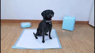 Disposable Puppy Pee Pad