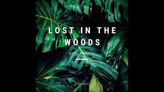 Lost in the Woods - James Brennan (Acoustic)