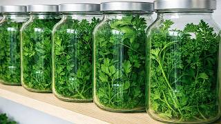When parsley Are Cheap, I Do This Right Away — Fresh All Year, Won’t Spoil|Clever Tricks
