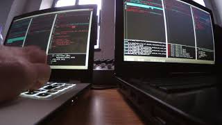 Polyglot test jam