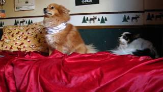 Rudy Photo Shoot (Super Cute)