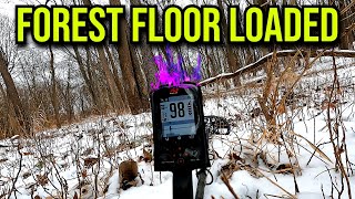 Forest Floor Loaded! 100+ Year old Coins ,Relics and a Glint of Gold!