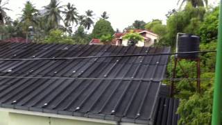 Morning in Sri Lanka