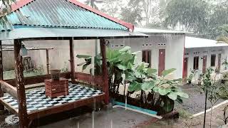 Rain Sounds for Severe Insomnia | Quiet the Mind and Sleep Naturally