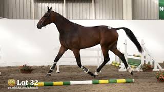 🎬 32 – Creevyquin Forthargos | 3-Year-Old Bay Gelding: Goresbridge Go for Gold 2025