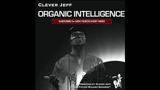 Clever Jeff  - Organic Intelligence - Funk Step Groove I Got Soul