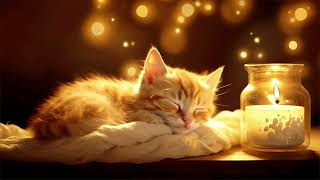 Winter Cozy Room In Christmas Night 🎄Cat's Purr, Fireplace Sound to Healing Insomnia, Stress Relief