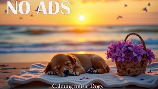 NO ADS 12 HOUR of dog sleep relaxation music🎵Separation anxiety relief and stress 🐶 🦮  Dogs Calming