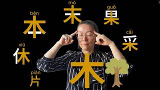 6 Hanzi Come From 木 Tree