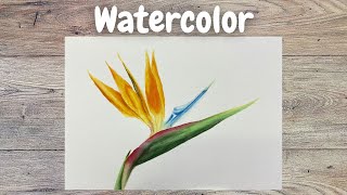 Botanical Watercolor Painting Tips | Bird Of Paradise Painting