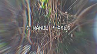 STRANGE PHASES