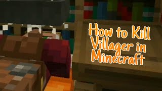 How to kill Villager in Minecraft...