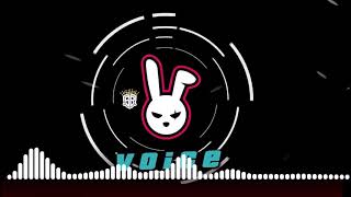 Dayvi - Voices ( Nico Parga Remix Secreto ) & SOUND BASS
